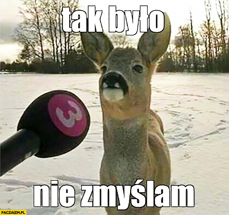 Załączony obrazek